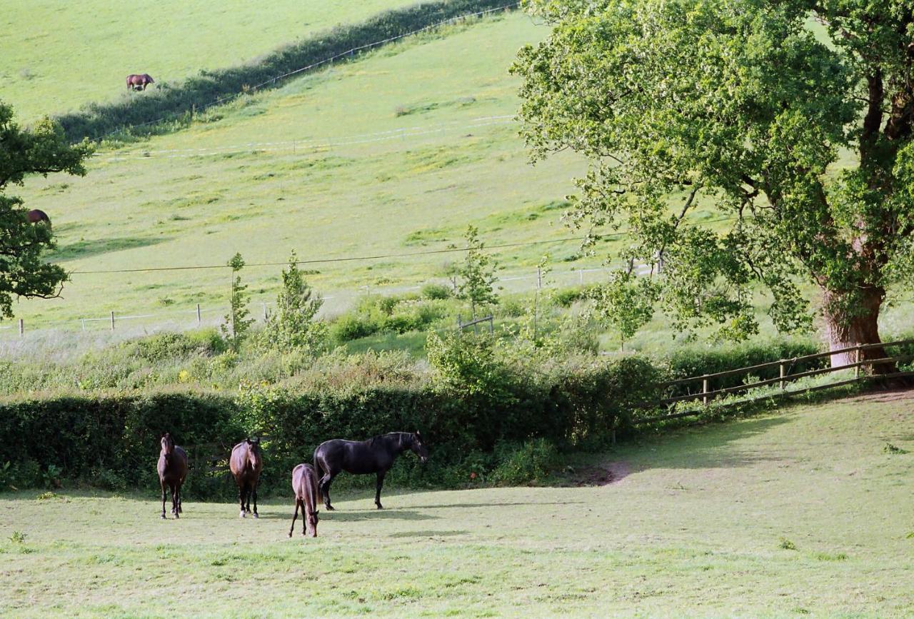 Devon Country Paradise Tavistock  Exterior foto